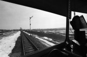 Junction Moravice, 2004